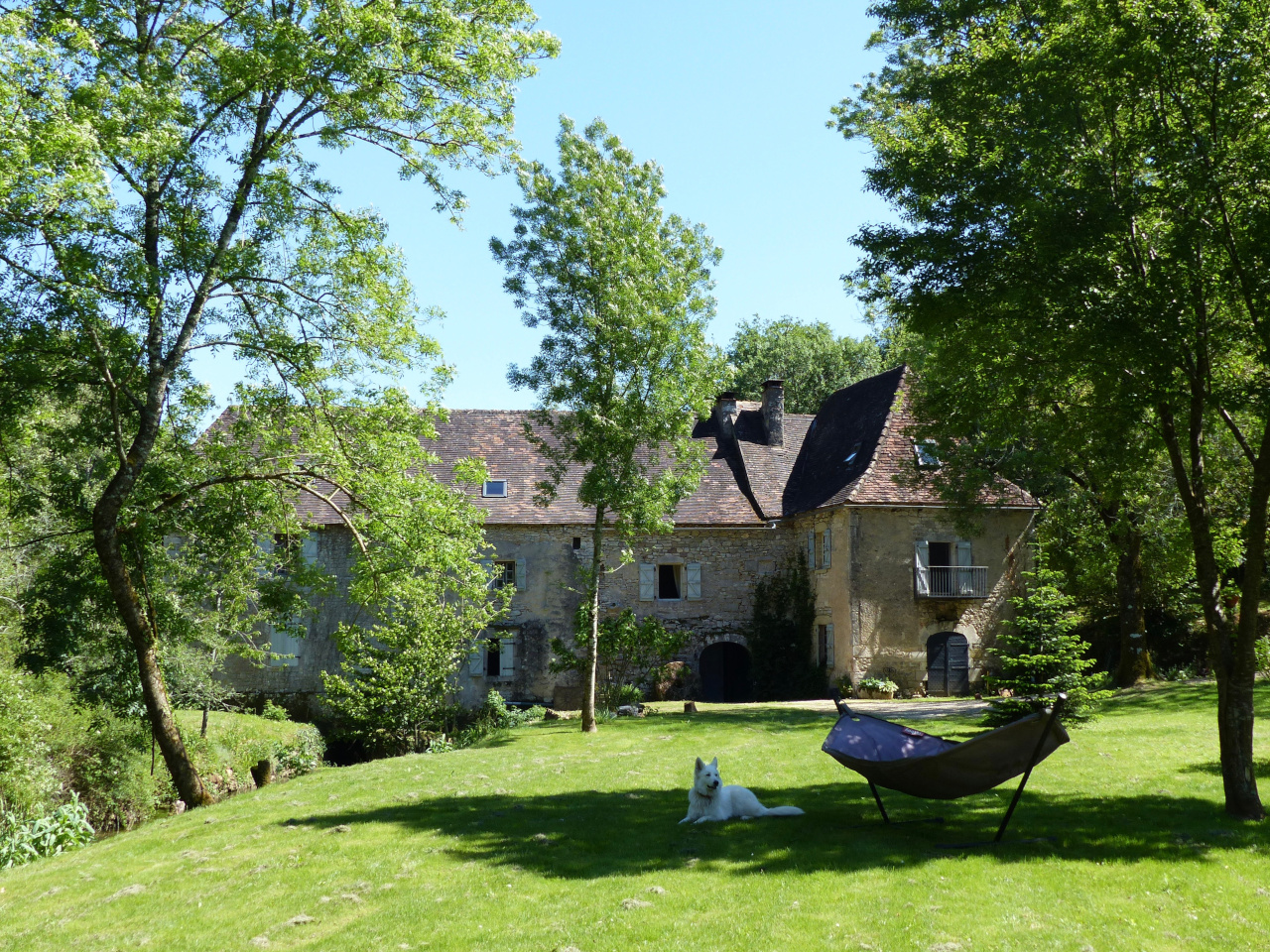 A picture of Moulin de Latreille, a Watermill in France, with a dog in the foreground